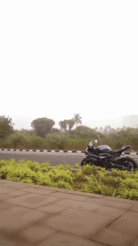 Scout GIF