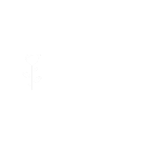 Graine Creative