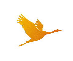 Turna Yağ Sticker