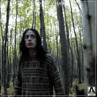 music video film GIF by Arrow Video