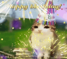 Happy Birthday Cat GIF