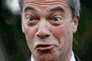 election mirror GIF