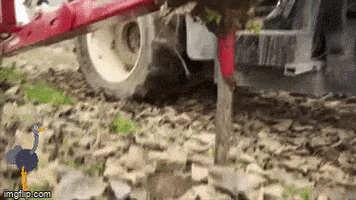 Agroma GIF