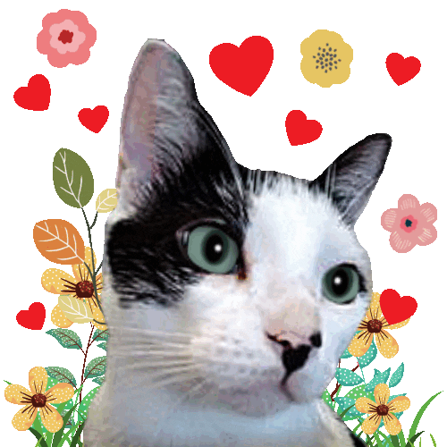 Love You Cute Cat Sticker