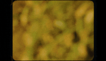 Farm Nuts GIF by USA Peanuts
