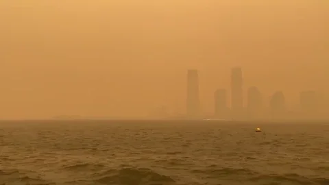New York City Smoke GIF