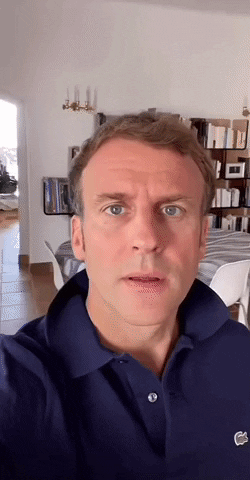 Macron GIF by systaime