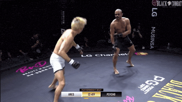 Victor Hugo GIF