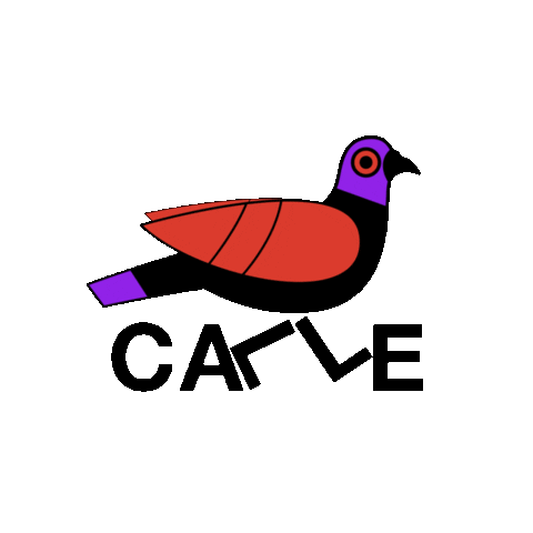 Soccer Pigeon Sticker by Calle