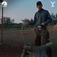 Cowboy Wrangling GIF by Yellowstone