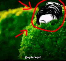 Jjk Jujutsu Kaisen GIF