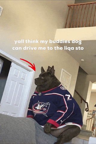 Columbus Blue Jackets Dog GIF