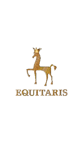 Equitaris Pony Des Jahres Sticker by Equitaris