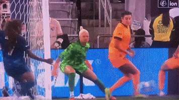 Houston Dash GIF