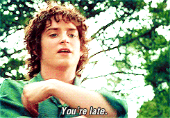 late lord of the rings GIF