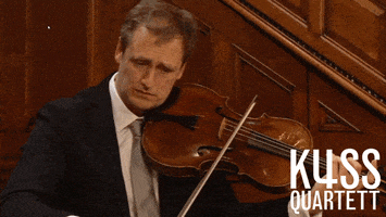 KussQuartett viola classicalmusic violist chambermusic GIF