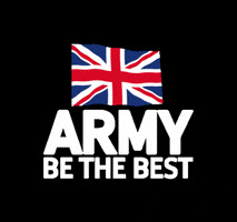TheGuards army guards britisharmy be the best GIF