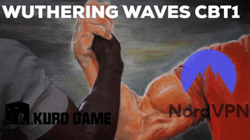 Wuthering Waves GIF