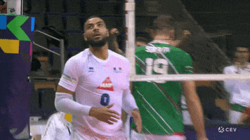 Olympics Roadtotokyo GIF by CEV - European Volleyball