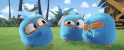 blues gotcha GIF by Angry Birds