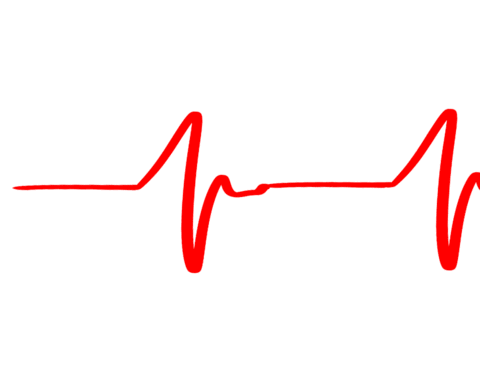 heartbeat line gif