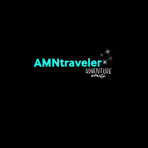 AMN Traveler GIF
