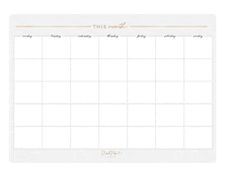 Planner Planning Sticker by Steph Pase
