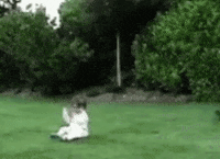 Liar Liar I M Kicking My Ass Gif By Jerology Find Share On Giphy Liar Liar I M Kicking My Ass Gif By Jerology Find Share On Giphy