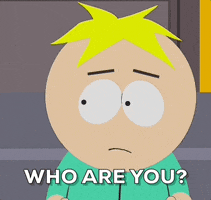 Who Are You Butters GIF by South Park