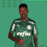 Puma Comemoracao GIF by SE Palmeiras