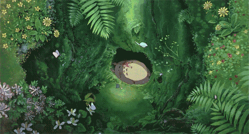 The Enigma of Studio Ghibli