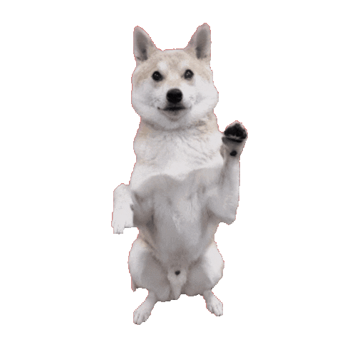 RawInstincts Sticker