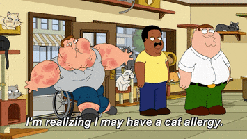 Fox Tv GIF by Family Guy