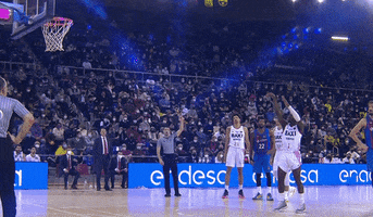 Lonely Liga Endesa GIF by ACB