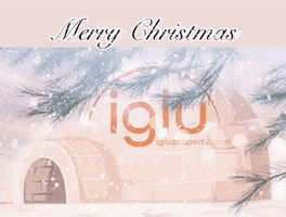 IgluProperty snow merry christmas igloo iglu GIF