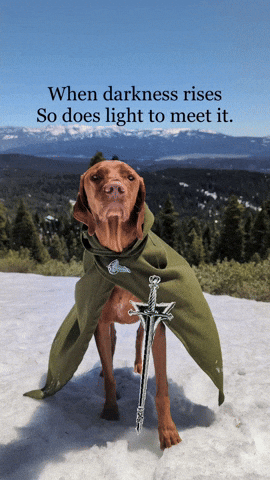 Darkness GIF