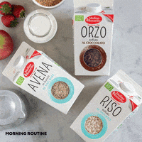 Morning Breakfast GIF by Molino Rossetto