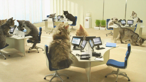 Call Center GIF - Find & Share on GIPHY