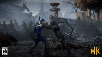 Mk GIF by Mortal Kombat 11