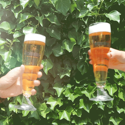 fuerstenberg beer cheers bier prost GIF