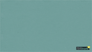 ecc  GIF
