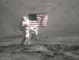 American Flag GIF by MOODMAN
