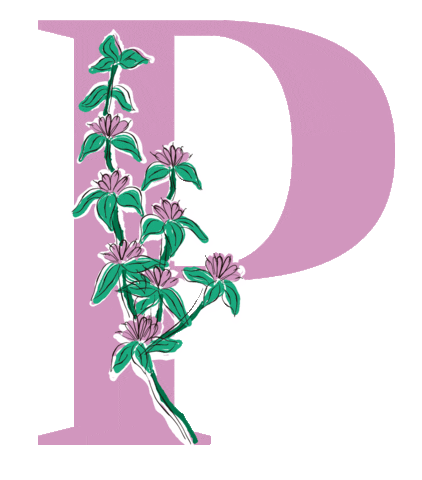 Yerba Verdeflor Sticker