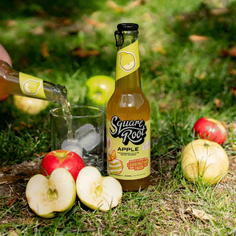 Apple Autumn GIF by Square Root Soda