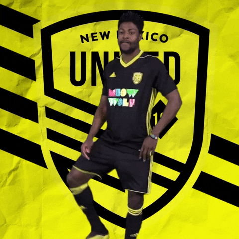 Pro Soccer GIF by New Mexico United