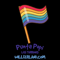 Republica Dominicana Gay GIF by WILFERLAND
