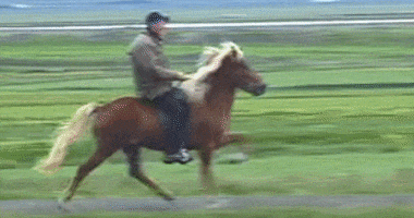 Selaria Vertentes GIF