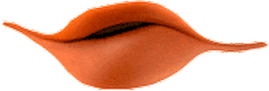 Chocolate Cookies Sticker by VMLY&R Spain