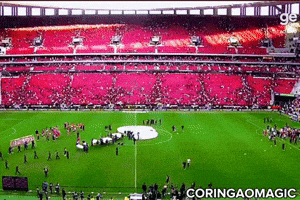 Corinthians Sccp GIF