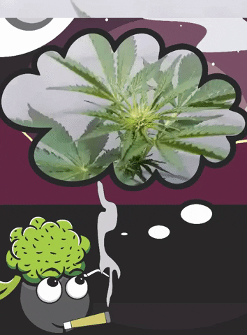 Thc GIF